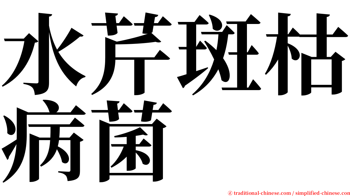 水芹斑枯病菌 serif font