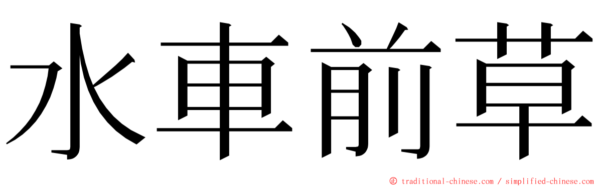 水車前草 ming font