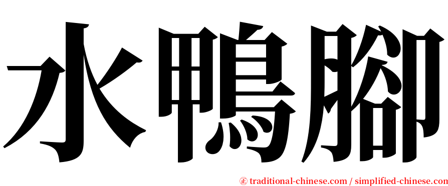 水鴨腳 serif font