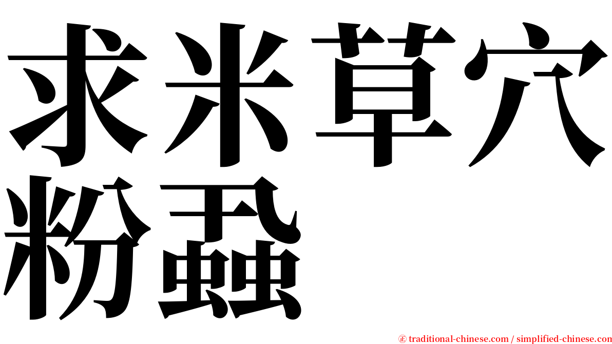 求米草穴粉蝨 serif font