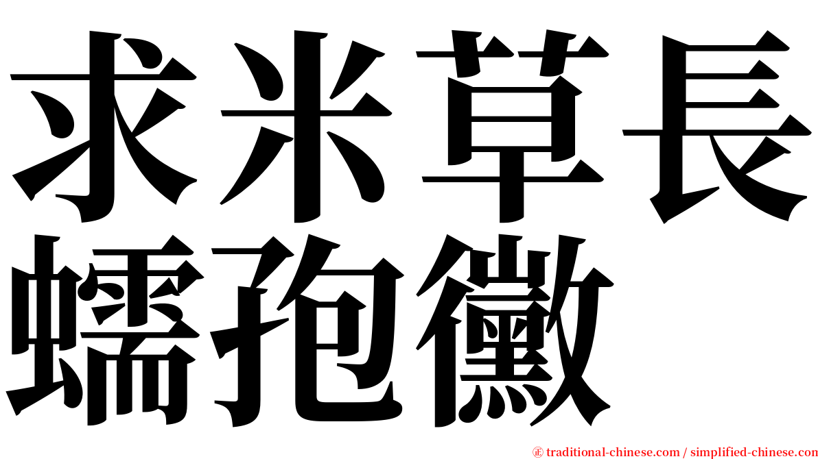 求米草長蠕孢黴 serif font