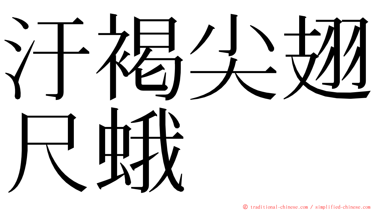 汙褐尖翅尺蛾 ming font