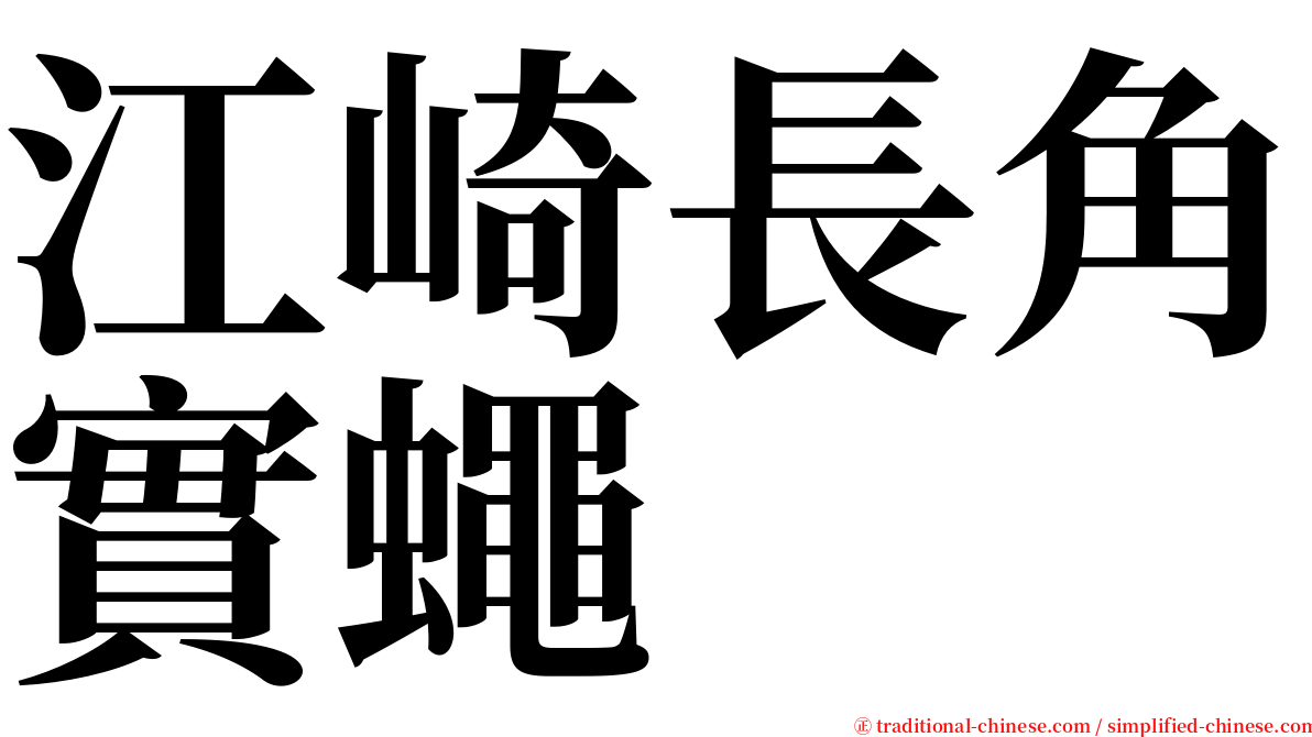 江崎長角實蠅 serif font