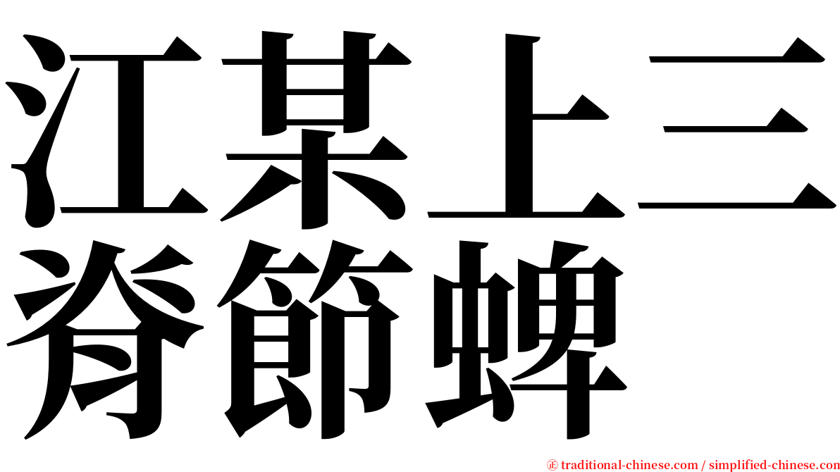 江某上三脊節蜱 serif font