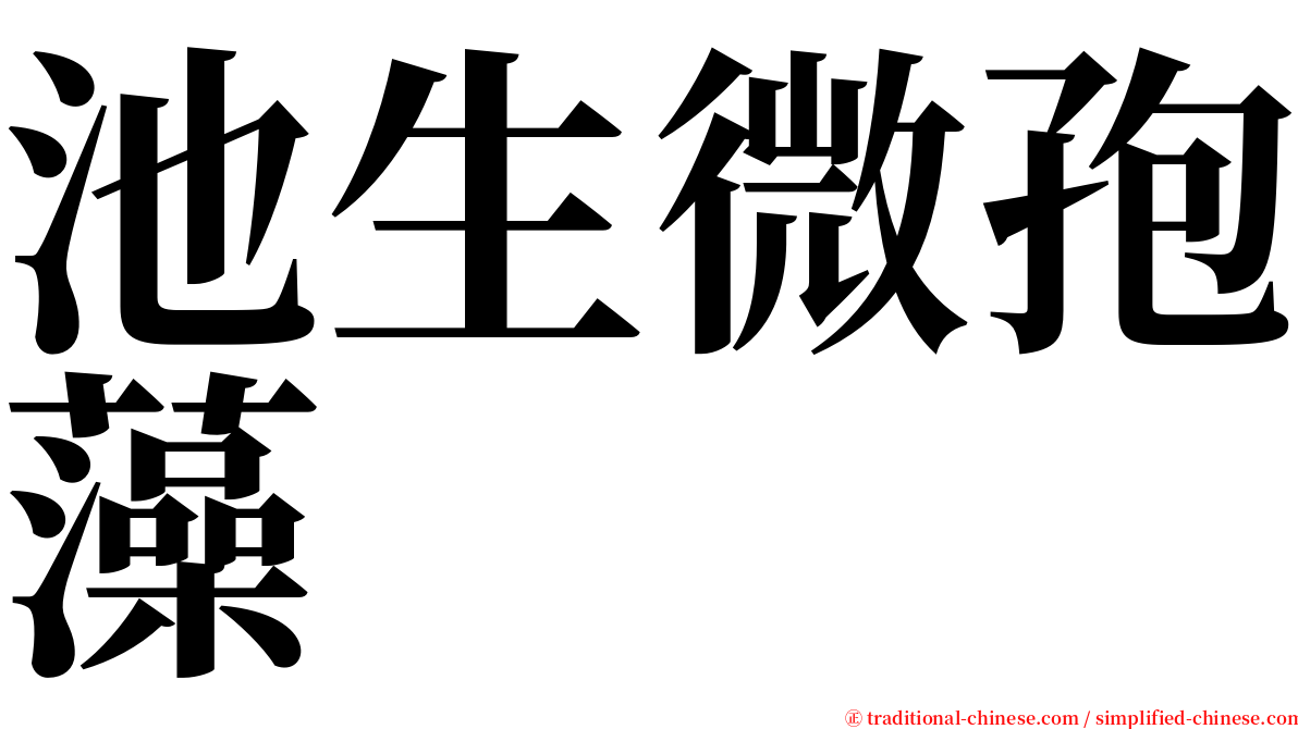 池生微孢藻 serif font