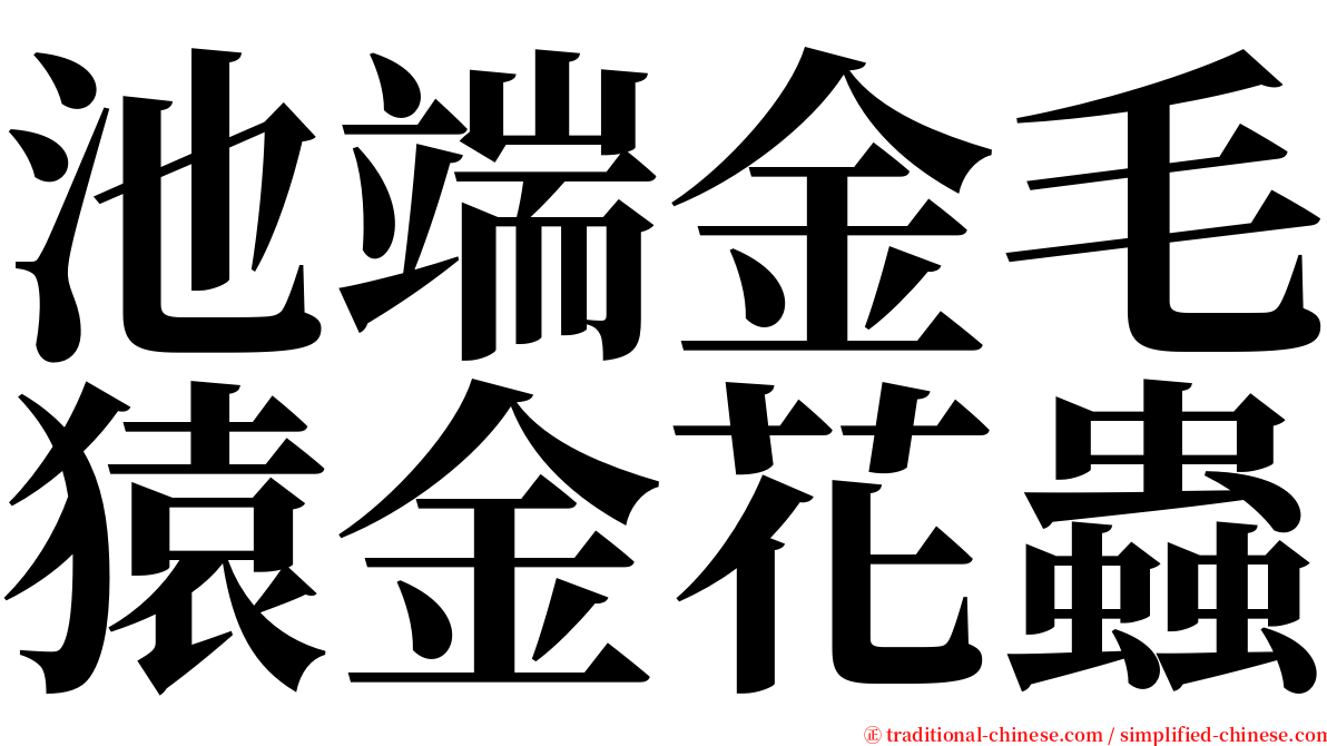 池端金毛猿金花蟲 serif font