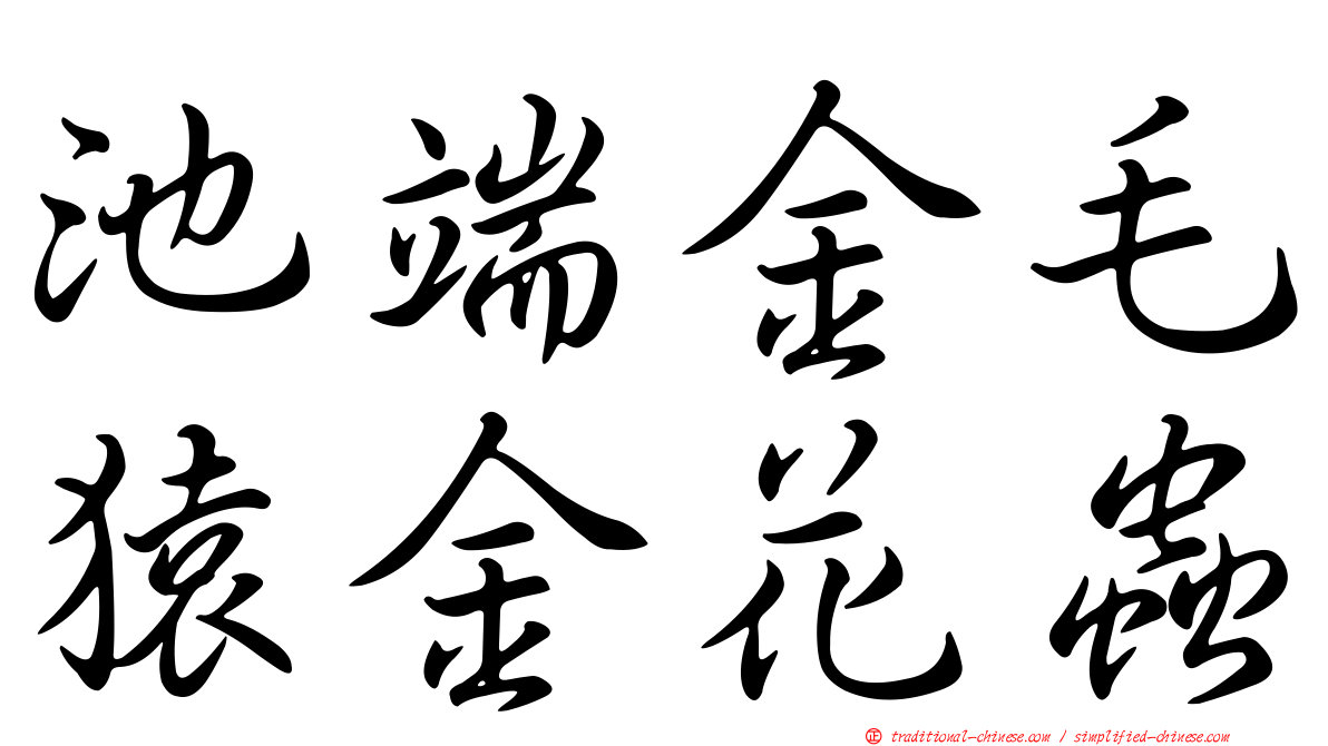 池端金毛猿金花蟲