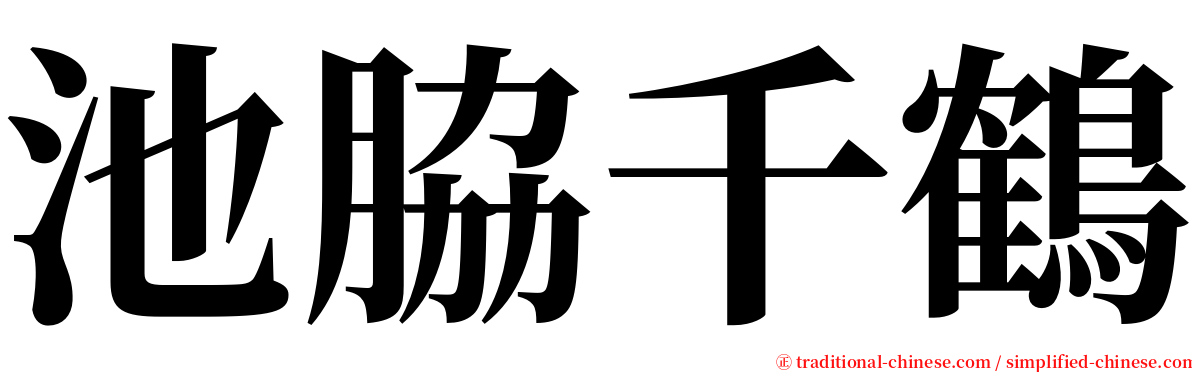 池脇千鶴 serif font
