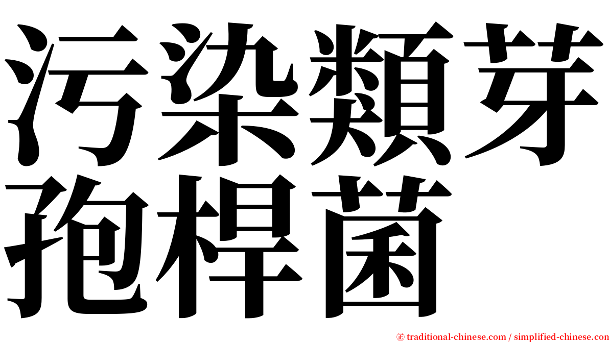 污染類芽孢桿菌 serif font