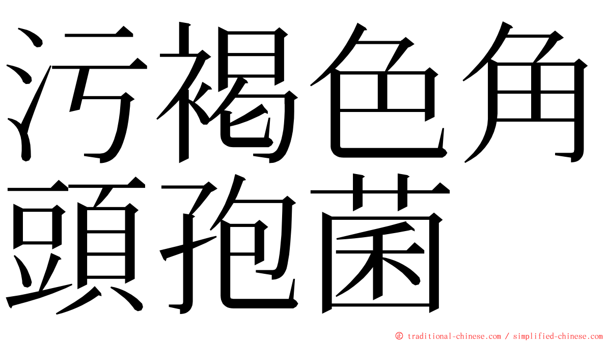 污褐色角頭孢菌 ming font