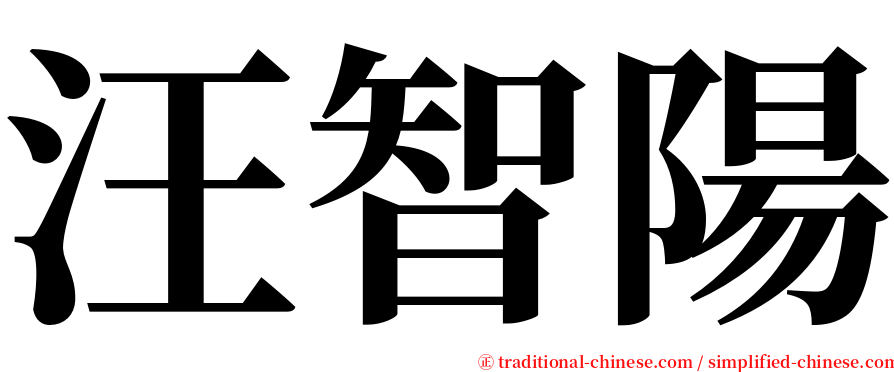 汪智陽 serif font