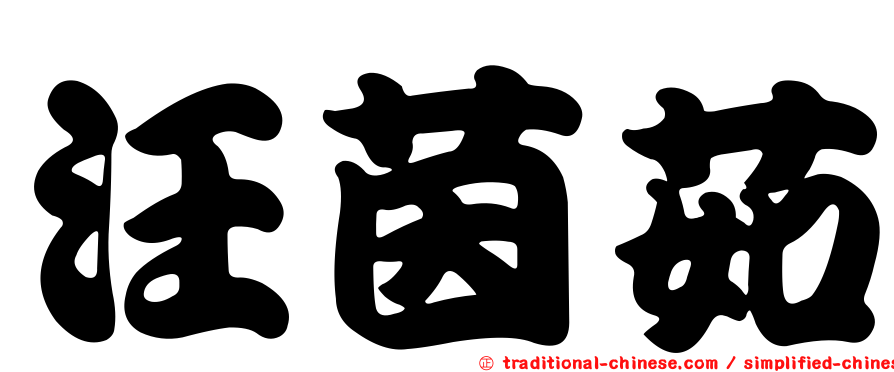 汪茵茹