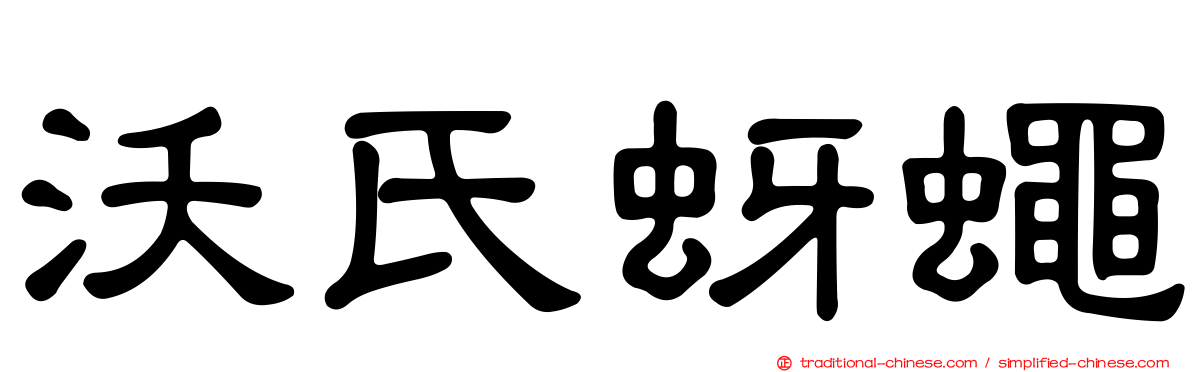 沃氏蚜蠅