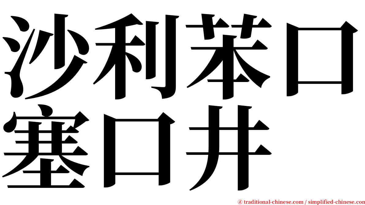 沙利苯口塞口井 serif font