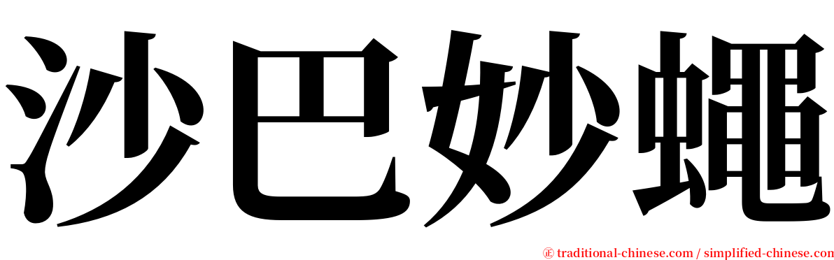 沙巴妙蠅 serif font