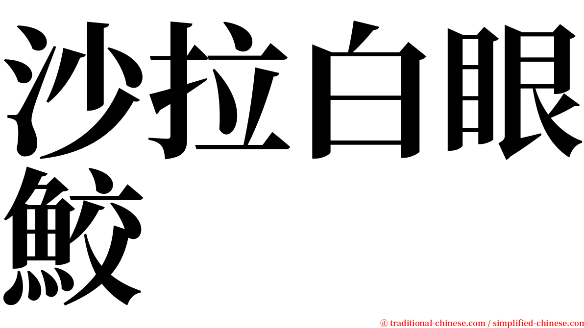 沙拉白眼鮫 serif font