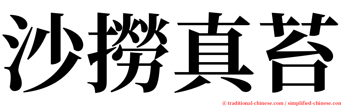 沙撈真苔 serif font