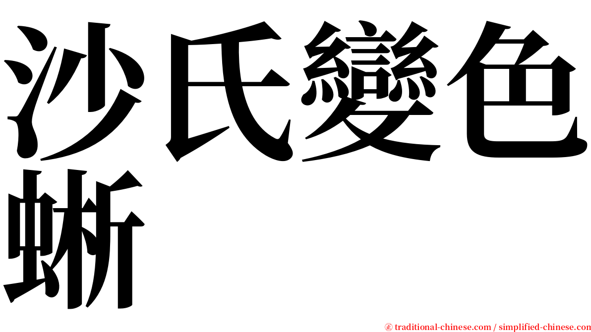 沙氏變色蜥 serif font