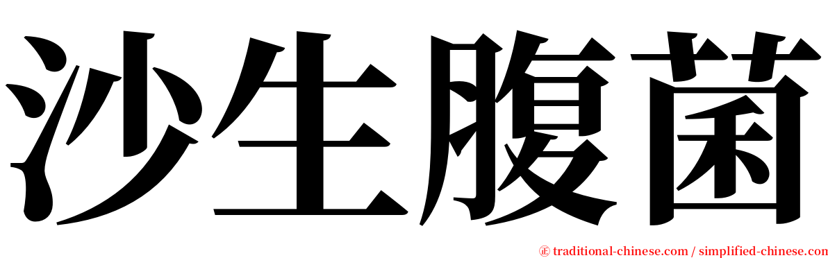 沙生腹菌 serif font