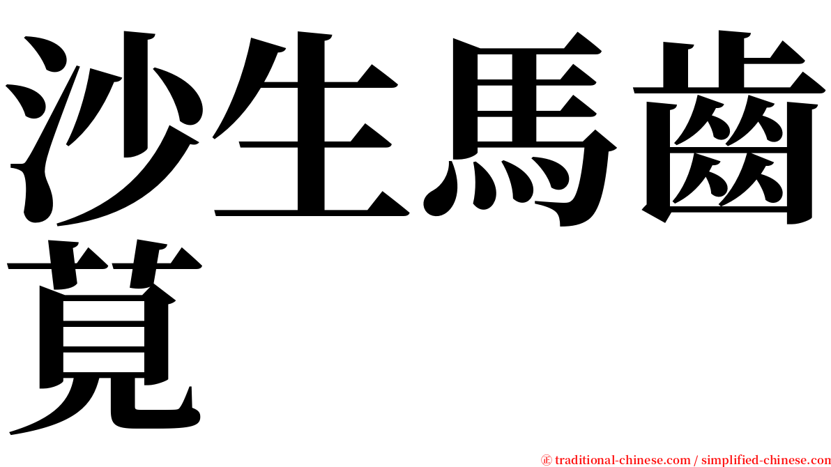 沙生馬齒莧 serif font