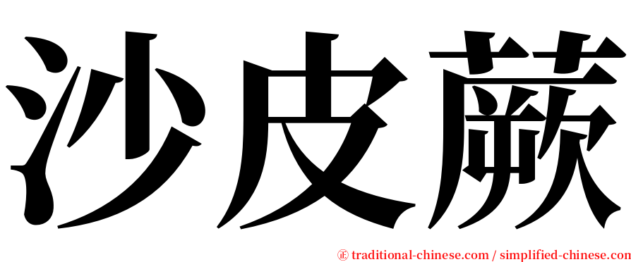 沙皮蕨 serif font