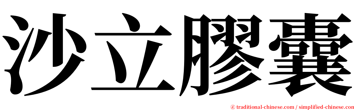 沙立膠囊 serif font