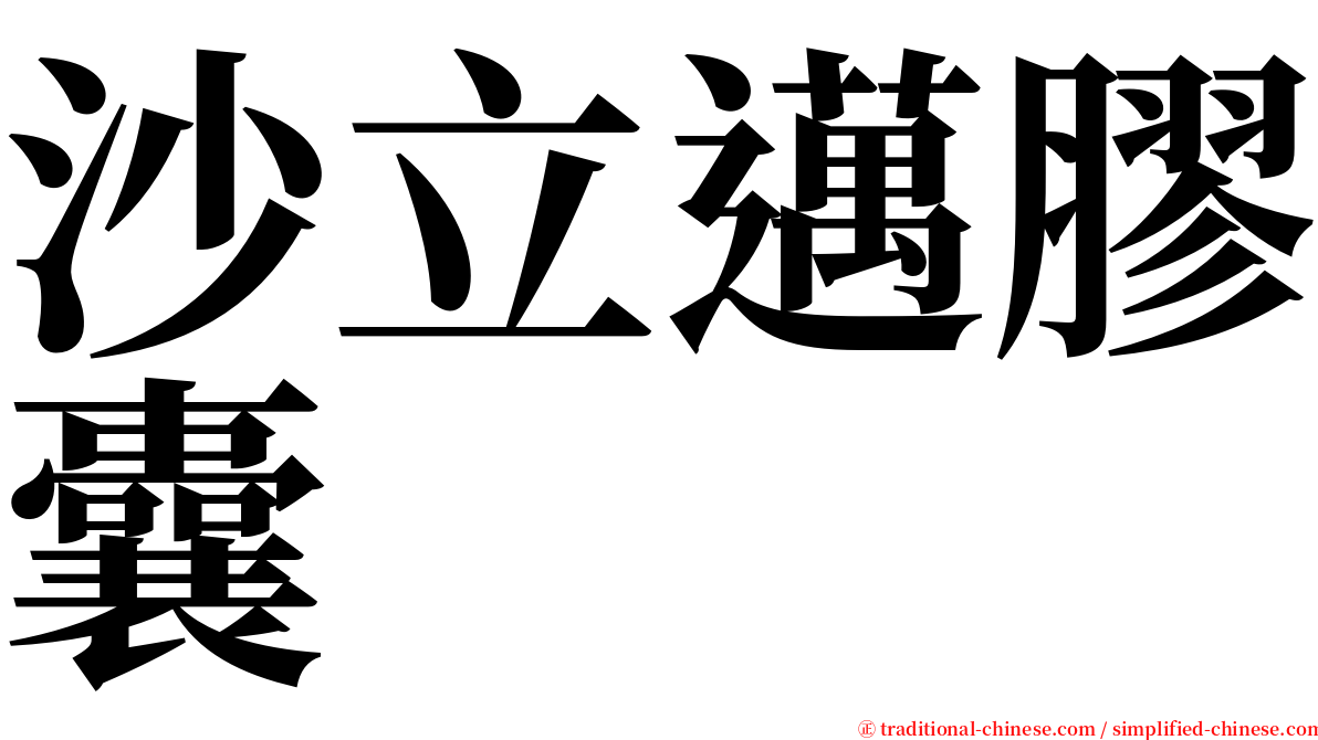 沙立邁膠囊 serif font