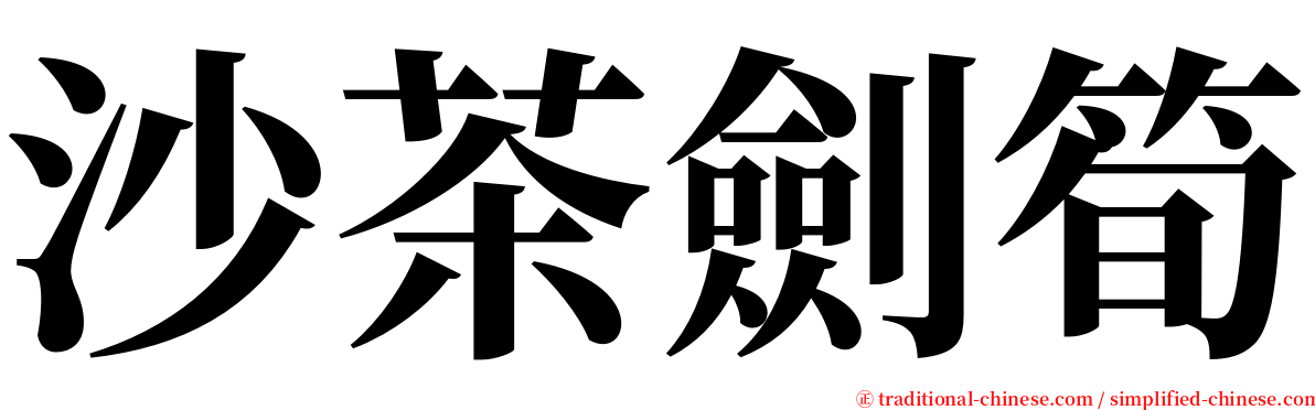 沙茶劍筍 serif font