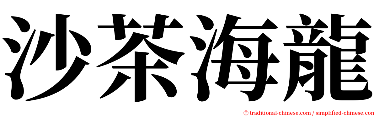 沙茶海龍 serif font