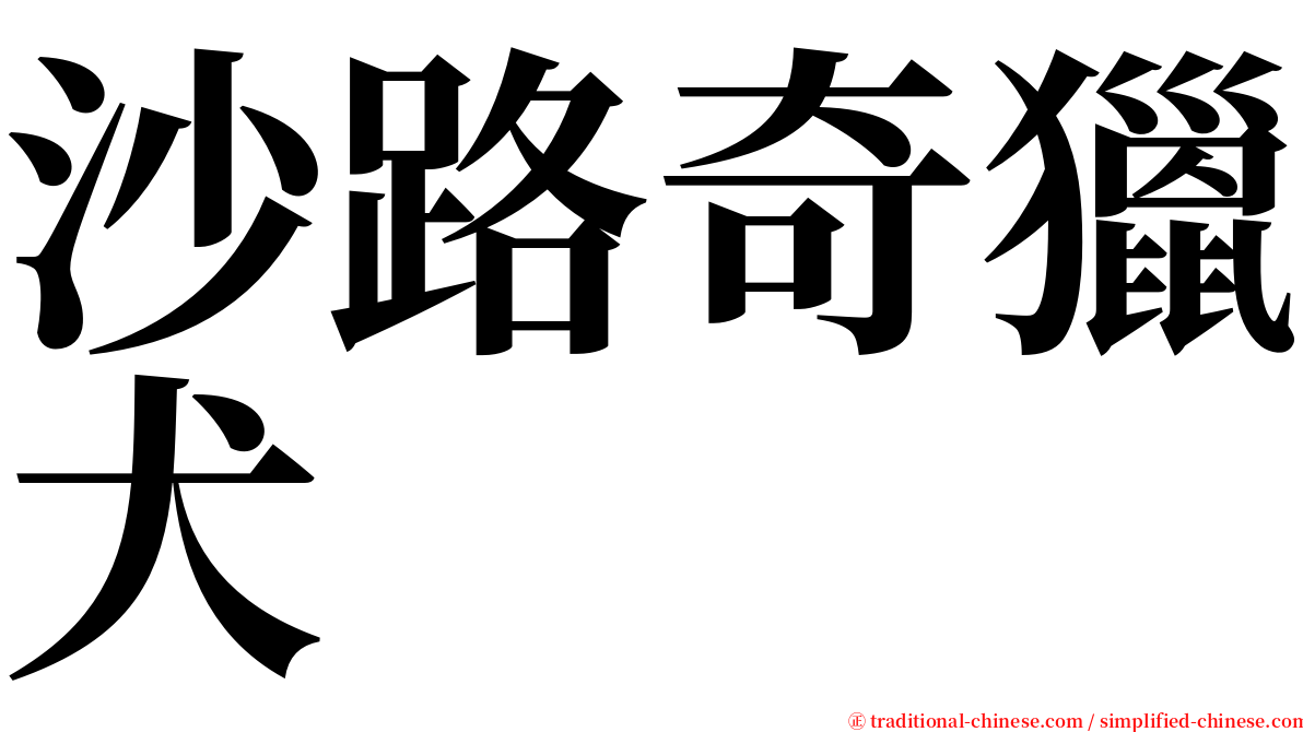 沙路奇獵犬 serif font