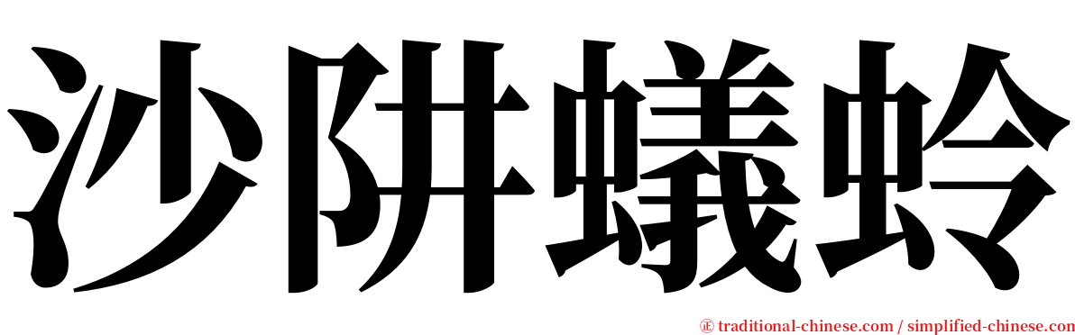 沙阱蟻蛉 serif font