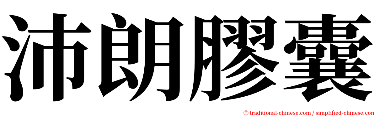 沛朗膠囊 serif font