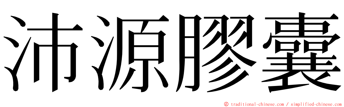 沛源膠囊 ming font