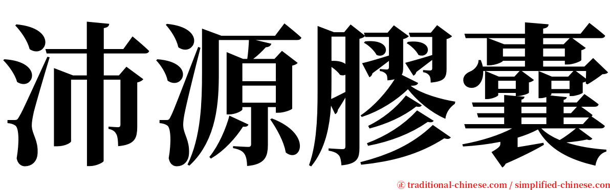 沛源膠囊 serif font