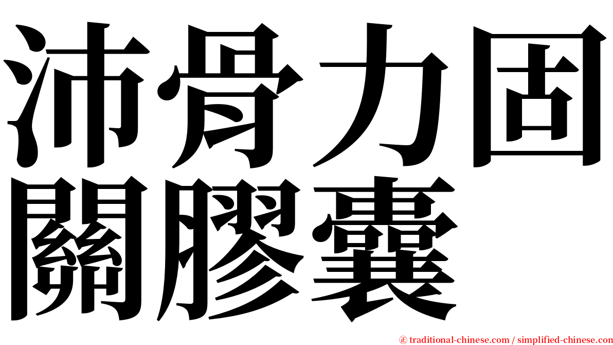 沛骨力固關膠囊 serif font