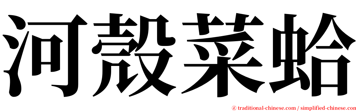 河殼菜蛤 serif font