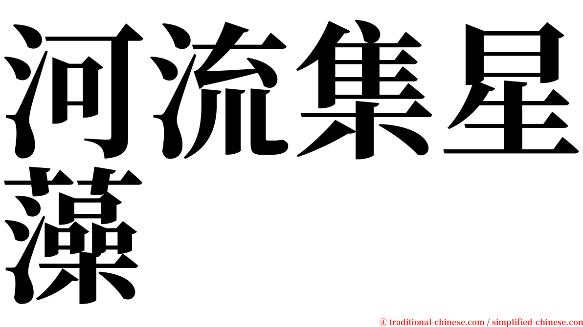 河流集星藻 serif font