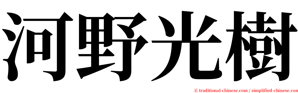 河野光樹 serif font