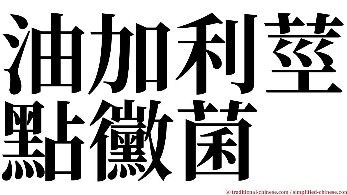 油加利莖點黴菌 serif font