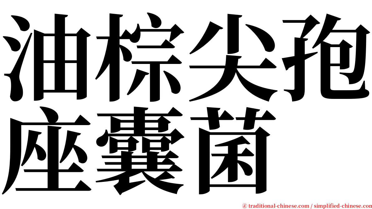 油棕尖孢座囊菌 serif font