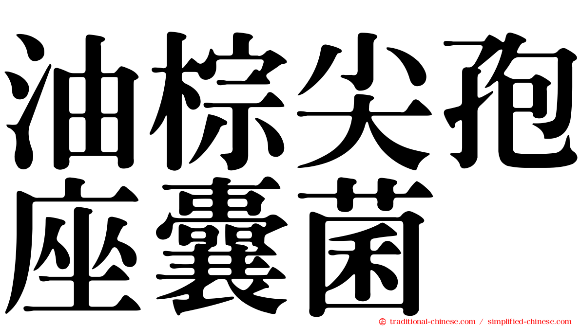 油棕尖孢座囊菌
