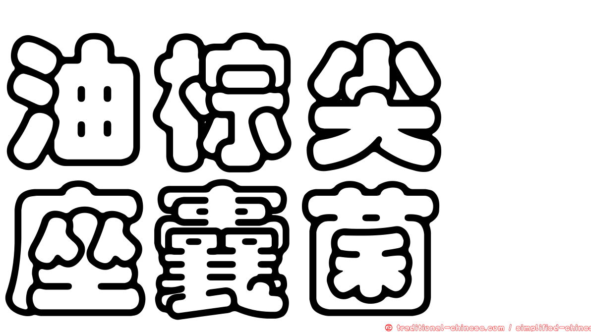 油棕尖孢座囊菌
