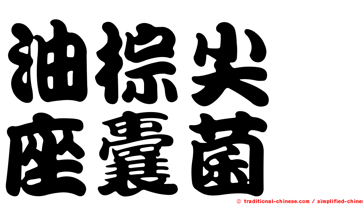 油棕尖孢座囊菌