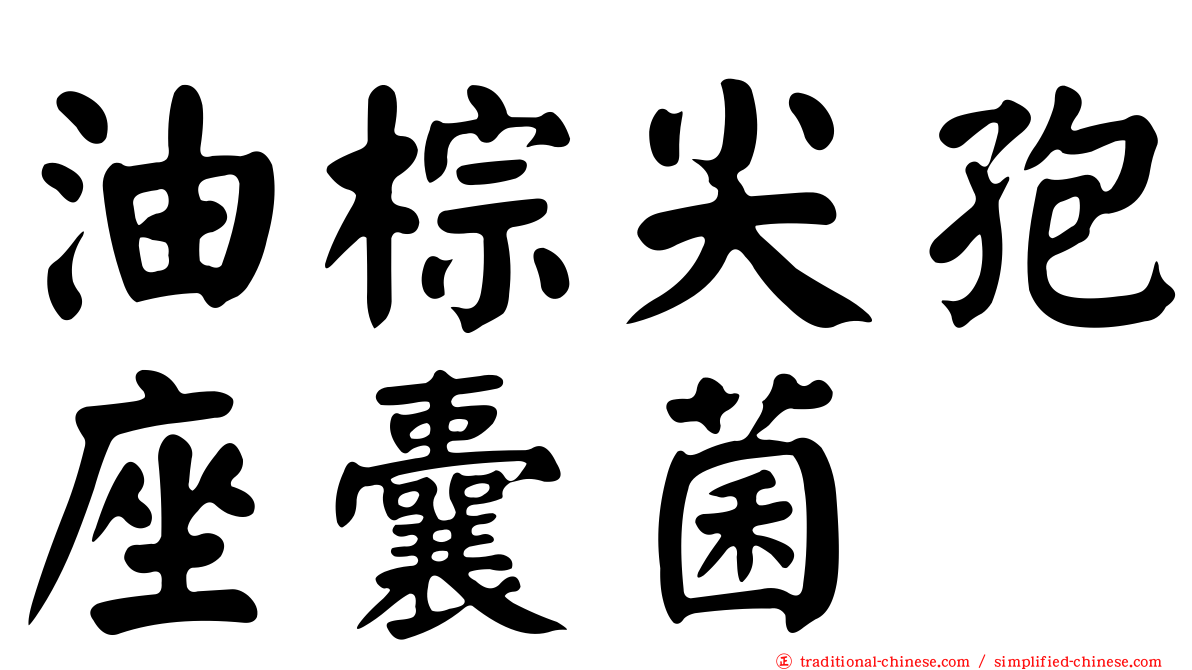 油棕尖孢座囊菌