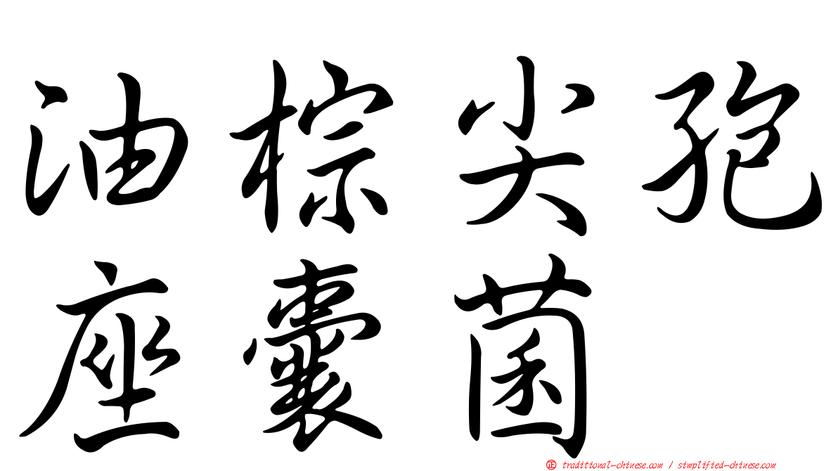油棕尖孢座囊菌