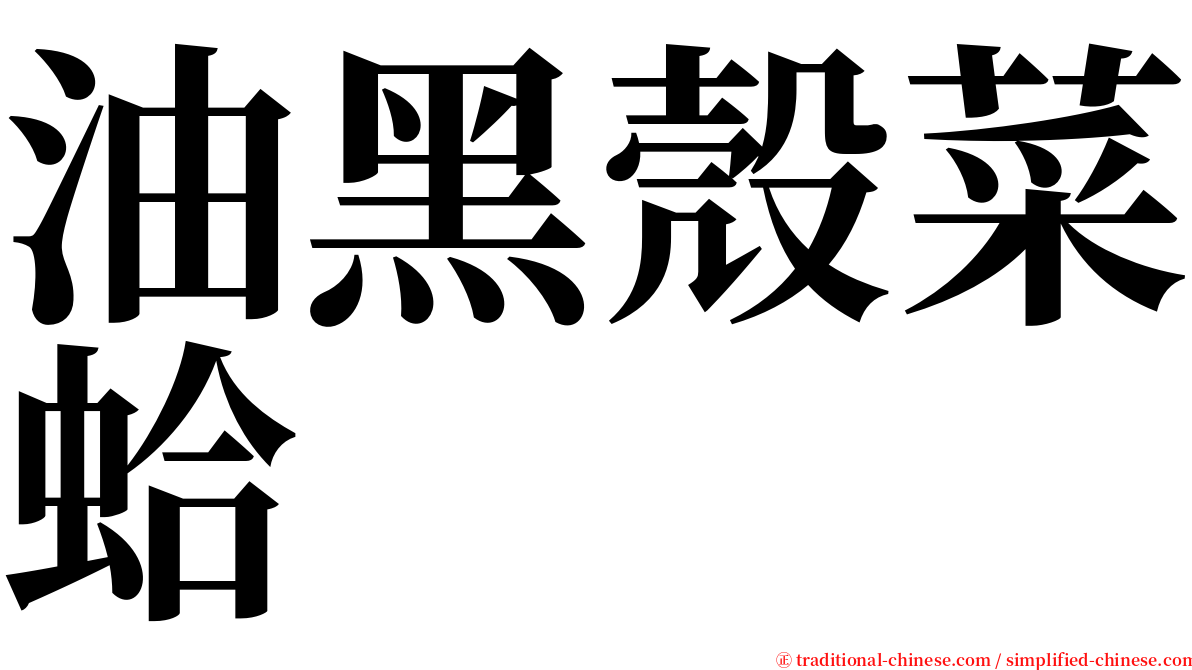 油黑殼菜蛤 serif font