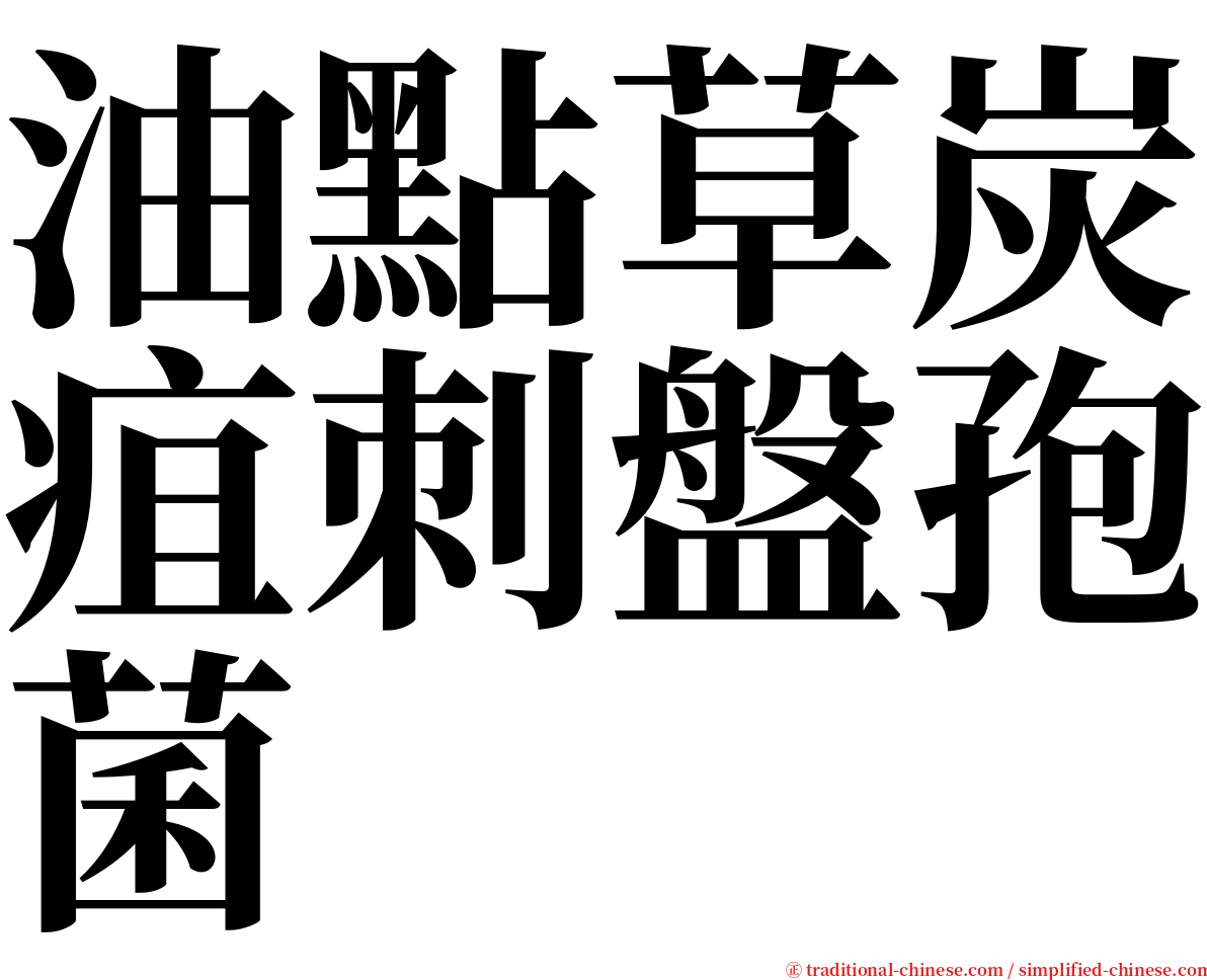 油點草炭疽刺盤孢菌 serif font