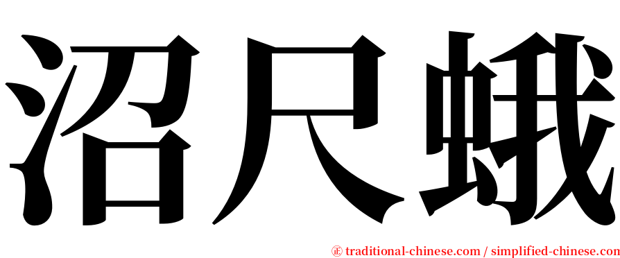 沼尺蛾 serif font