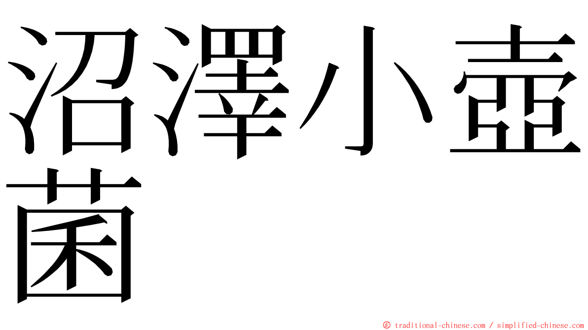 沼澤小壺菌 ming font