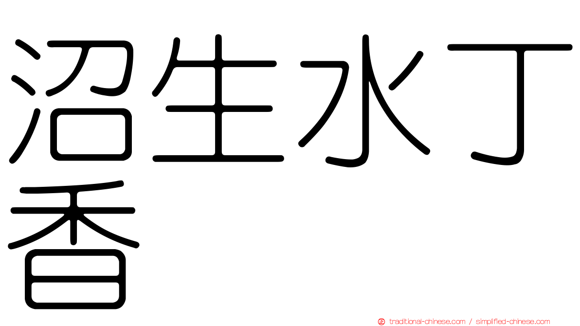 沼生水丁香